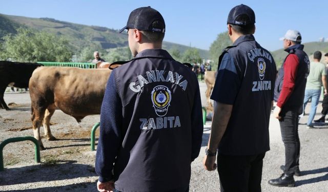 Çankaya Belediyesi’nden Kurban Bayramında Tam Kadro Hizmet