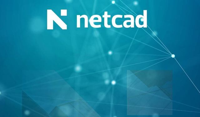 Halka Arz Tahminlerini Aşan Netcad Gelirinin Yüzde 75’ini Nakit Kara Dönüştürdü