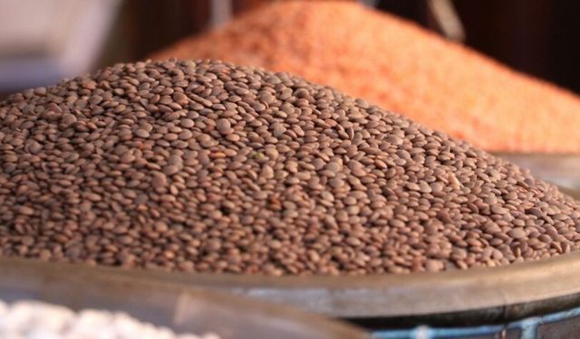 Hububat ve Bakliyat Sektörü 5 Ayda 211 Bölgeye Ulaştı