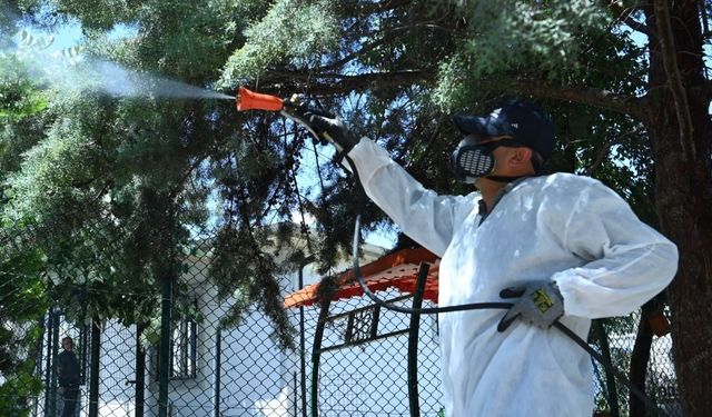 Mamak'ta Sinek ve Haşerelere Karşı İlaçlama Seferberliği Başladı