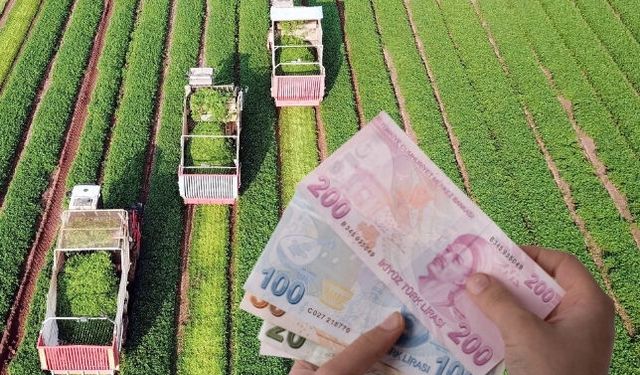 Ticaret Bakanlığı'ndan Esnafa 23 Yılda 803 Milyar TL Destek
