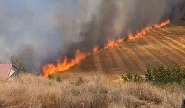 Sincan'daki Arazide Başlayan Yangın Rüzgarın Etkisiyle Büyüdü
