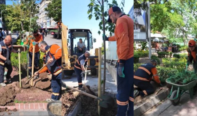 Çankaya’da Fidan Dikimi ve Ağaçlandırma Çalışmaları Sürüyor
