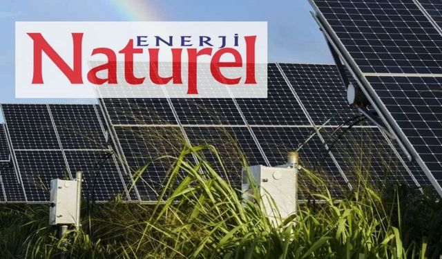 NATEN’den Ortaklarına 1,9 Milyar TL Zarar Sonrası Kar Payı Yok