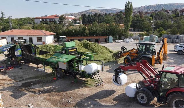 Ankara'da Üreticiye Mısır Silajları Yüzde 50 Hibeyle Dağıtılacak