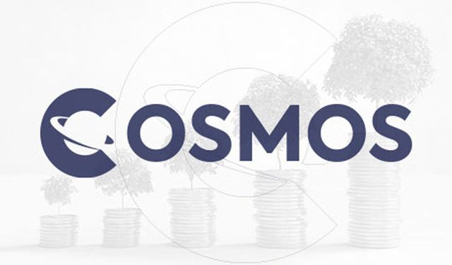 Cosmos Yatırım İştirakini 17,5 Milyona Devretti, 750 Milyonluk Tavanda İzinler Tamamlandı