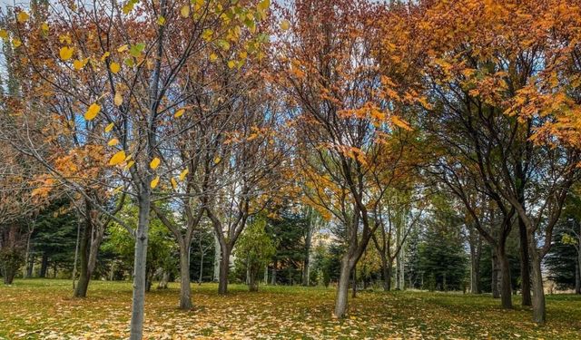 Ankara'da Sonbahar Erken Gelecek: Eylül Yağışlı Geçecek