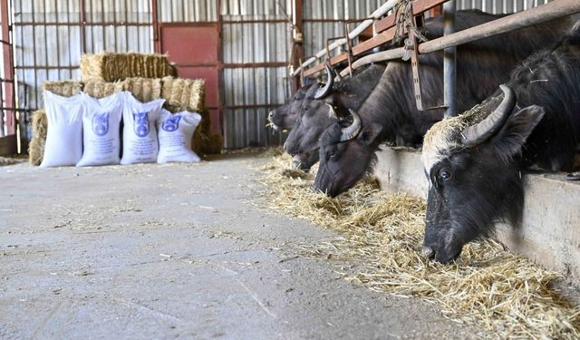ABB’den Manda Yetiştiricilerine Özel Yem Desteği