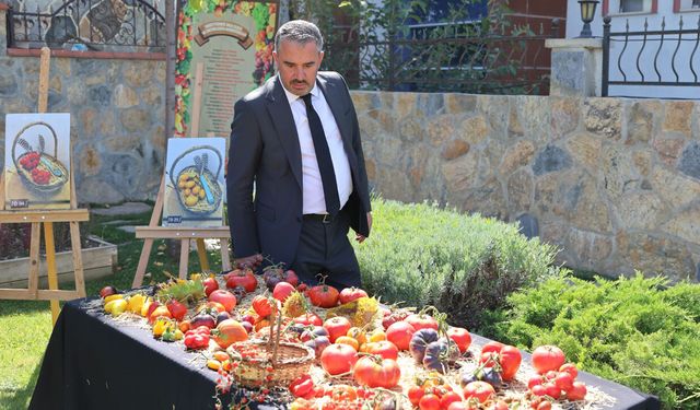 Endemik Vadi’de Ata Tohumu Hasadı: Elde Edilen Tohumlar İlçe Sakinlerine Dağıtılacak
