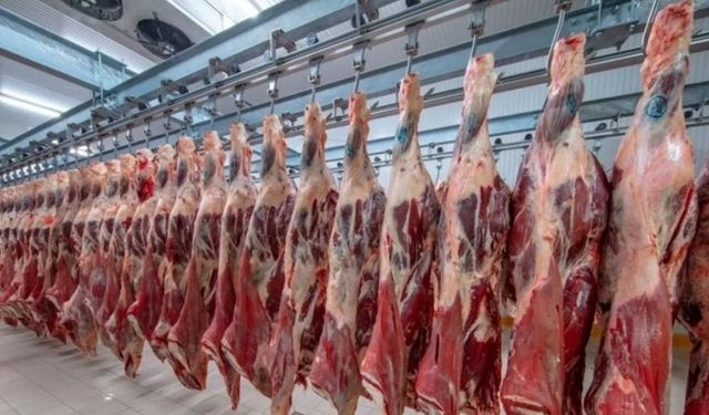 Ankara'da Halk Sağlığı Tehdit Eden 104 Ton Sahte Et ve Et Ürünü Ele Geçirildi