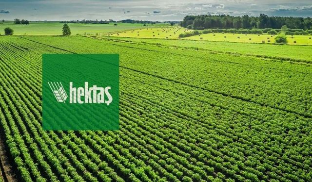Hektaş’ta 2,4 Milyar Liralık OYAK Desteği Kasaya Girdi: İlk Yarı Zararını Telafi Eden Hamle