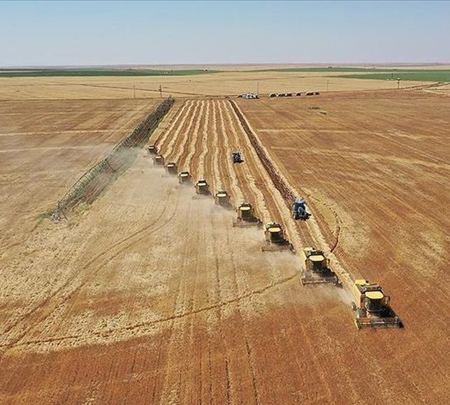 Tarımda 329 Projeye 3,6 Milyar TL Hibe Desteği
