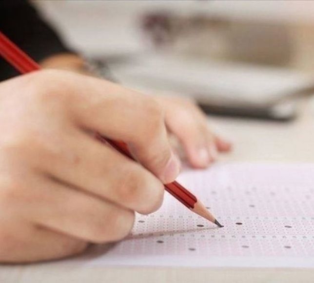 LGS Sınavının Sonuçları Açıklandı