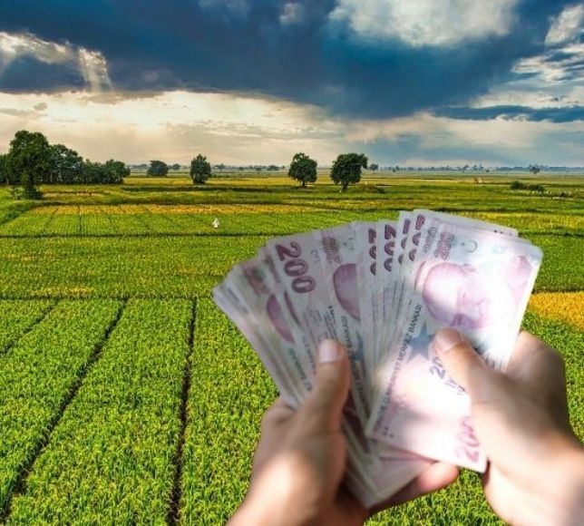 Tarımsal Destekleme Ödemeleri Bugün Çiftçilerin Hesabına Yatıyor