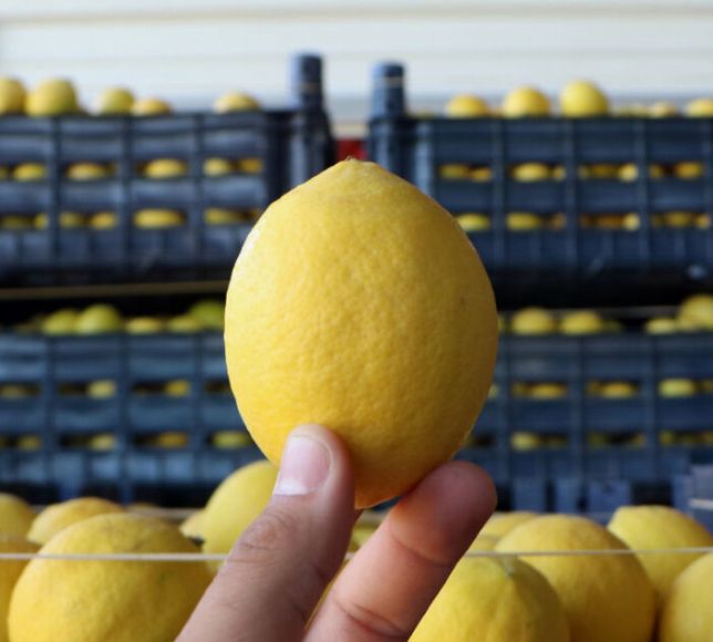 Limonda İthalat Vergisi İndirimi, Panik Satışları Beraberinde Getirdi