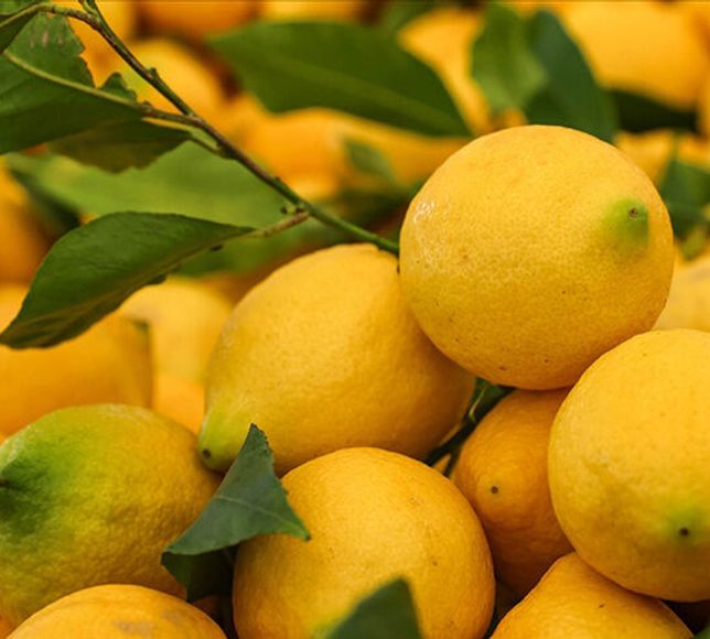 Türkiye Limon İhracatında Hedef 500 Milyon Dolar