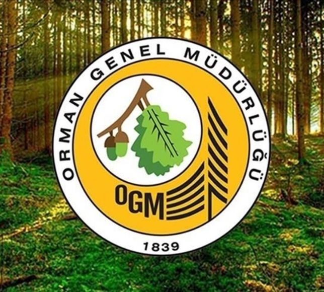 OGM, 12 Müfettiş Yardımcısı Alımı Yapacak