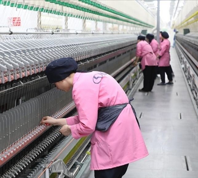 Çalışan Kadınlara Büyük Destek: Yeni İstihdam Dönemi Başlıyor