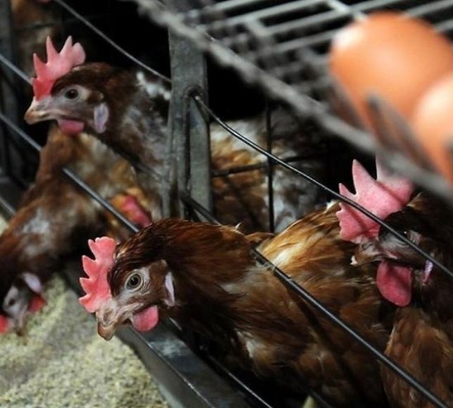 Ticari Kanatlı İşletmeleri Dikkat! Artık Bu Şartlar Zorunlu Oldu