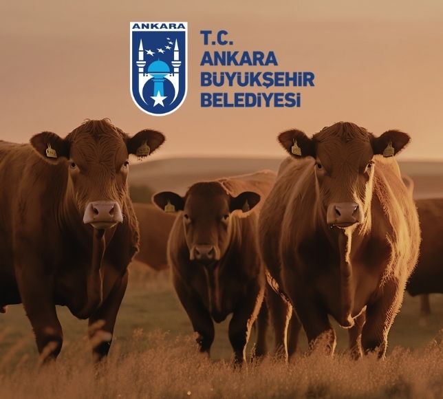 Ankara’da Üreticiye Veterinerlik Desteği: Başvurular Başladı