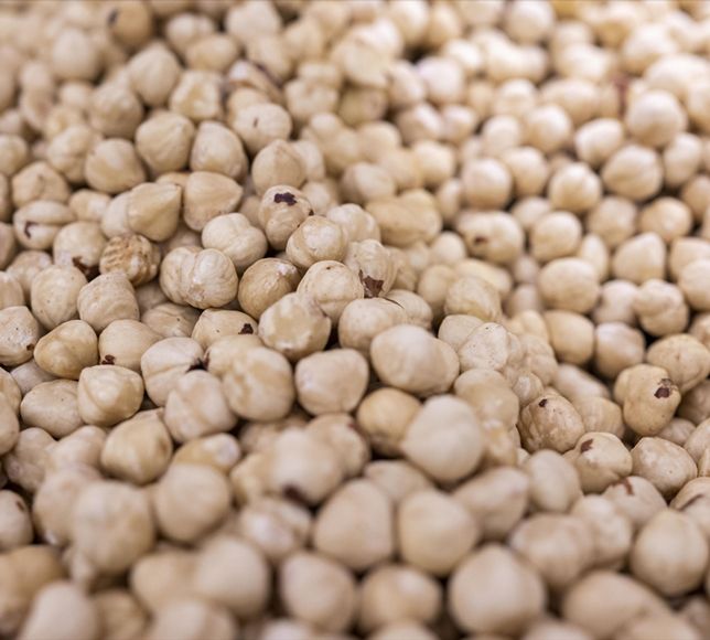 Türkiye’nin Fındık İhracatı Son 5 Ayda 81 Bin Ton Geriledi