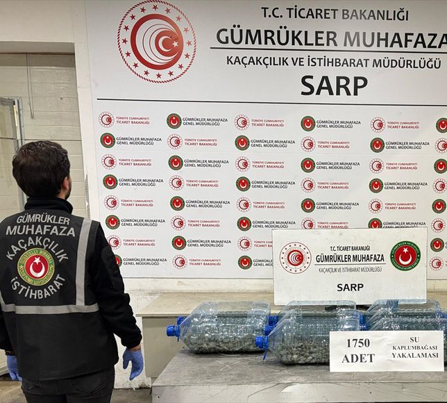 Gümrüklerde 85 Bin Canlı Hayvan Kaçakçıların Elinden Kurtarıldı