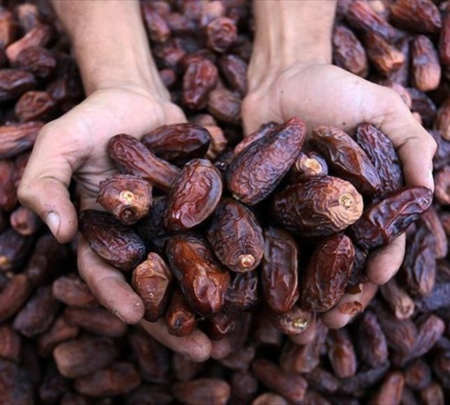 Hurma İthalatında 5 Yıllık Bilanço: 278 Bin Tonu Aştı