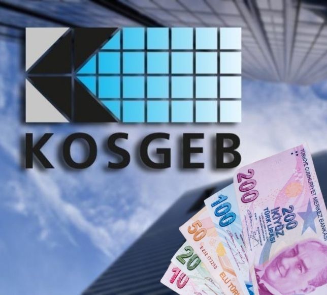 KOSGEB Kapasite Destek Programı Başvuruları Başladı
