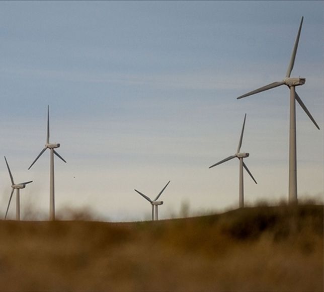 Rüzgar Enerjisinde 15 Bin 934 MW ile Yeni Rekor Kırıldı: Lider İzmir