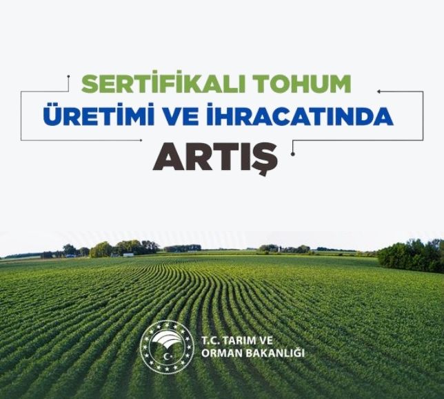 Türkiye’nin Tohum İhracatı 2025’te 368 Milyon Dolar Oldu
