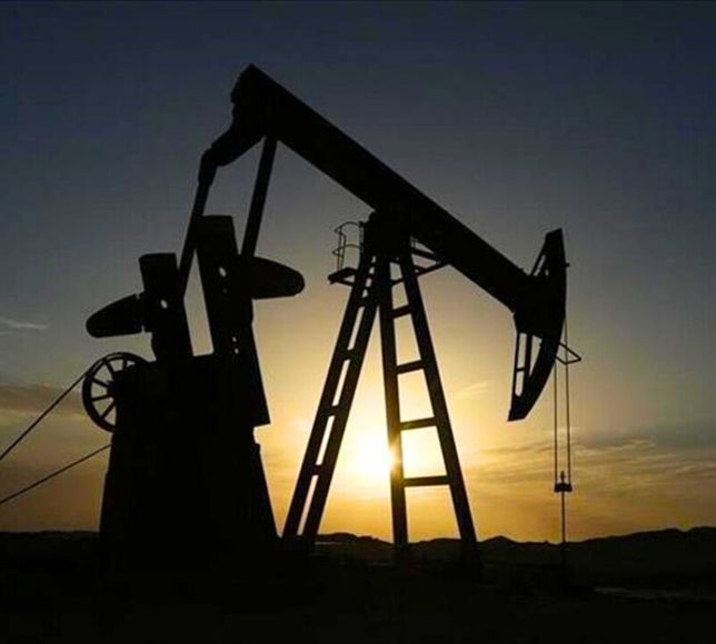 TPAO'nun Diyarbakır'daki Petrol Arama Sahası Genişletildi