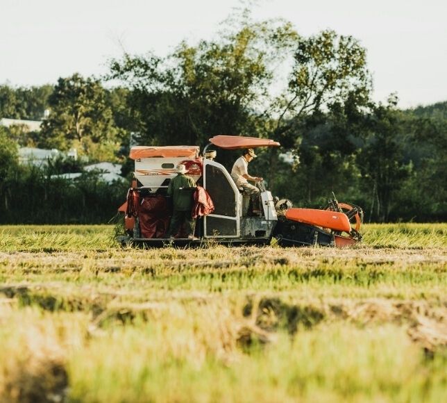 Çiftçilere Müjde! 8,7 Milyar Liralık Destek Bugün Yatıyor