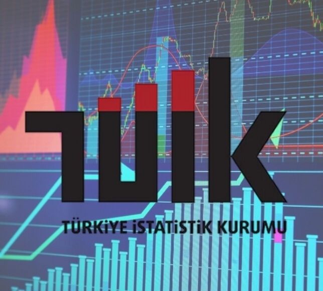 TÜİK 2024 Yılı Yabancı Kontrollü Girişim Rakamlarını Açıkladı