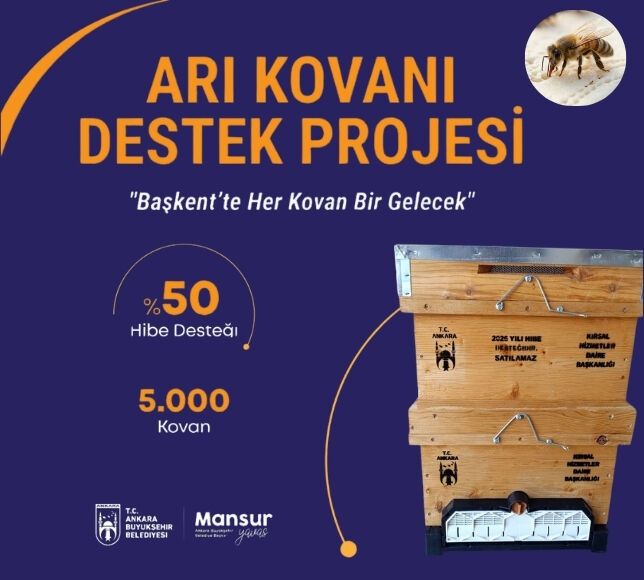 Ankara’da Arıcılara Dev Destek: Yüzde 75 Hibe Desteği