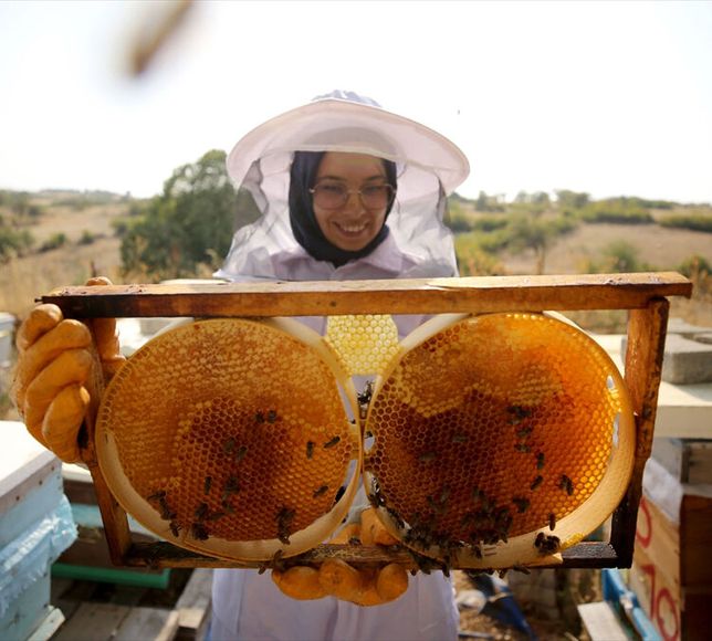Türk Balını En Çok ABD'liler Sevdi