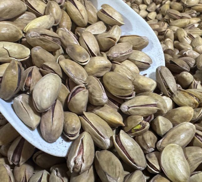 Fıstık İhracatında İlk Çeyrek Bilançosu 32,8 Milyon Dolar Oldu