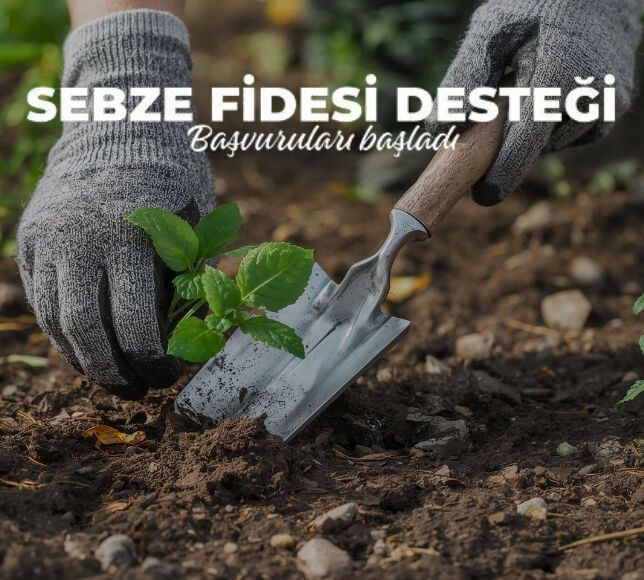 Kalecik’te Sebze Fidesi Desteği Başvuruları Başladı