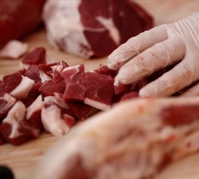 Kırmızı Ette Arz Güvenliği için "Yerli Embriyo" Dönemi