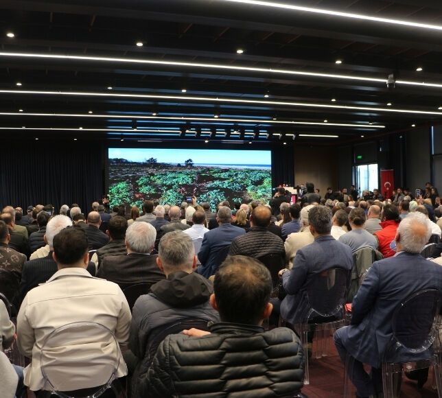 Türkiye Turizm Geliri 2025 Yılında 65,2 Milyar Dolar