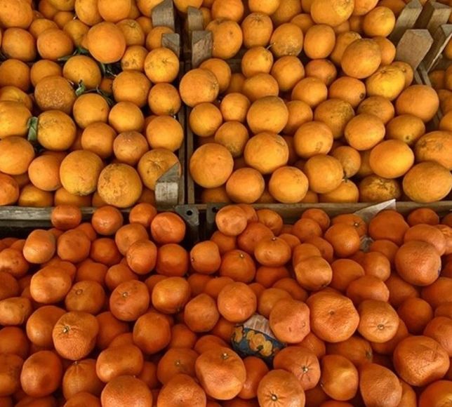 Turunçgil İhracatı İlk Çeyrekte Yüzde 61 Arttı