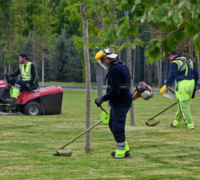 Ankara'da Parklarda Yaz Mesaisi: Yeşil Alanlar Yaza Hazırlanıyor