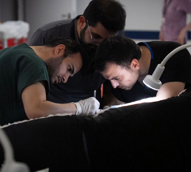 Ankara Bilkent Şehir Hastanesi'nde "Acemi Kasap" Yoğunluğu