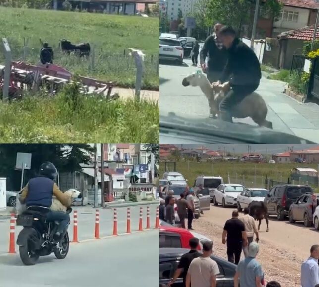 Ankara’da Kurban Bayramı’nın İlk Gününde Panik Dolu Anlar