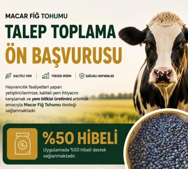 Beypazarı’nda Yüzde 50 Hibeli Macar Fiğ Tohumu Desteği Başlıyor