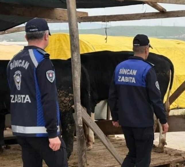 Sincan Belediyesi'nden Kurban Pazarlarına Sıkı Denetim