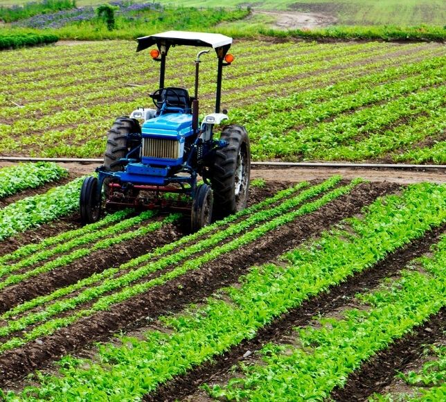 Tarım ÜFE Nisanda Yüzde 42,53 Yıllık Artış Gösterdi