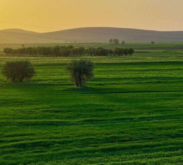 Türkiye’de Yağışlar 66 Yılın Zirvesine Çıktı