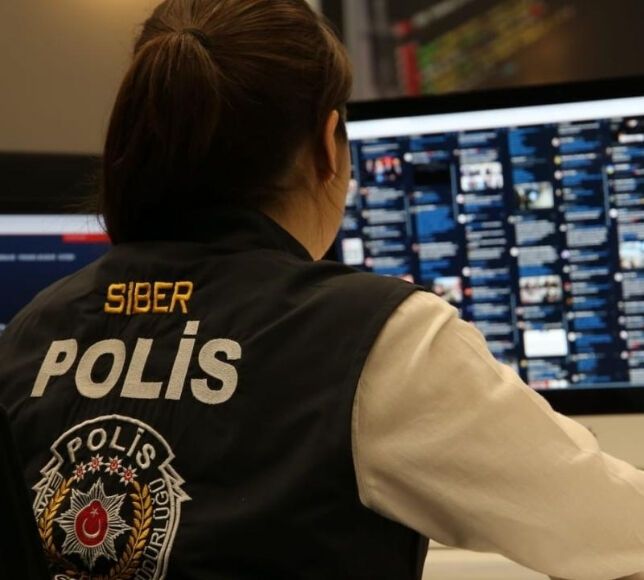 İçişleri Bakanlığı’ndan 20 İlde Siber Suç Operasyonu: 193 Gözaltı