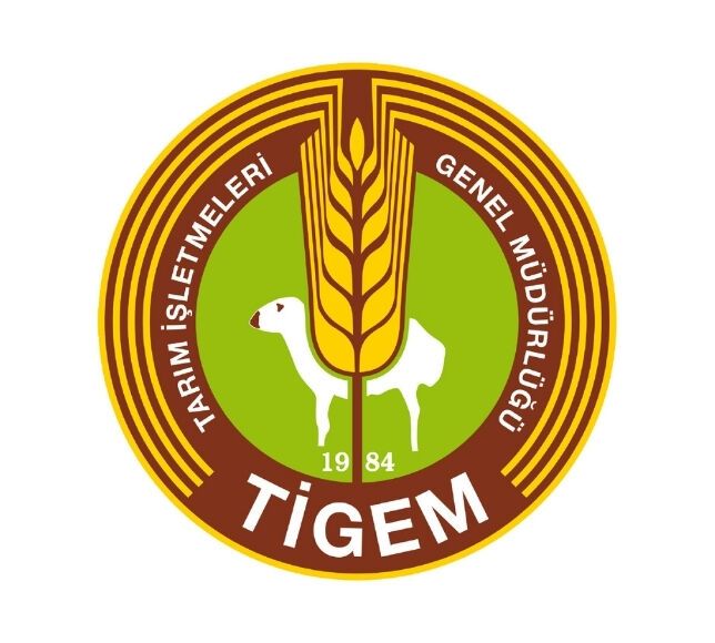 TİGEM Polatlı Tesislerindeki 60 Bin Kilo Yapağıyı Satışa Çıkarıyor: İşte Tarih