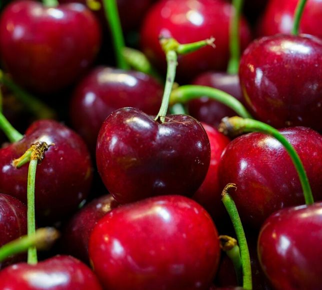 Türk Kirazında İhracat Geliri 235 Milyon Dolara Çıktı